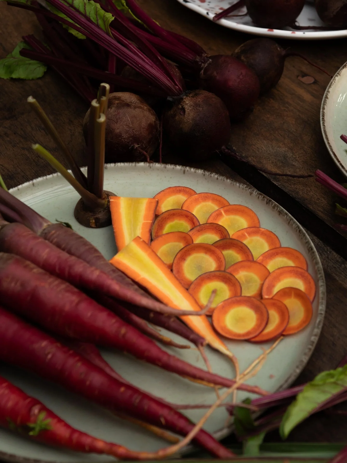 Roots and beets cultivated by Mestiza de Indias