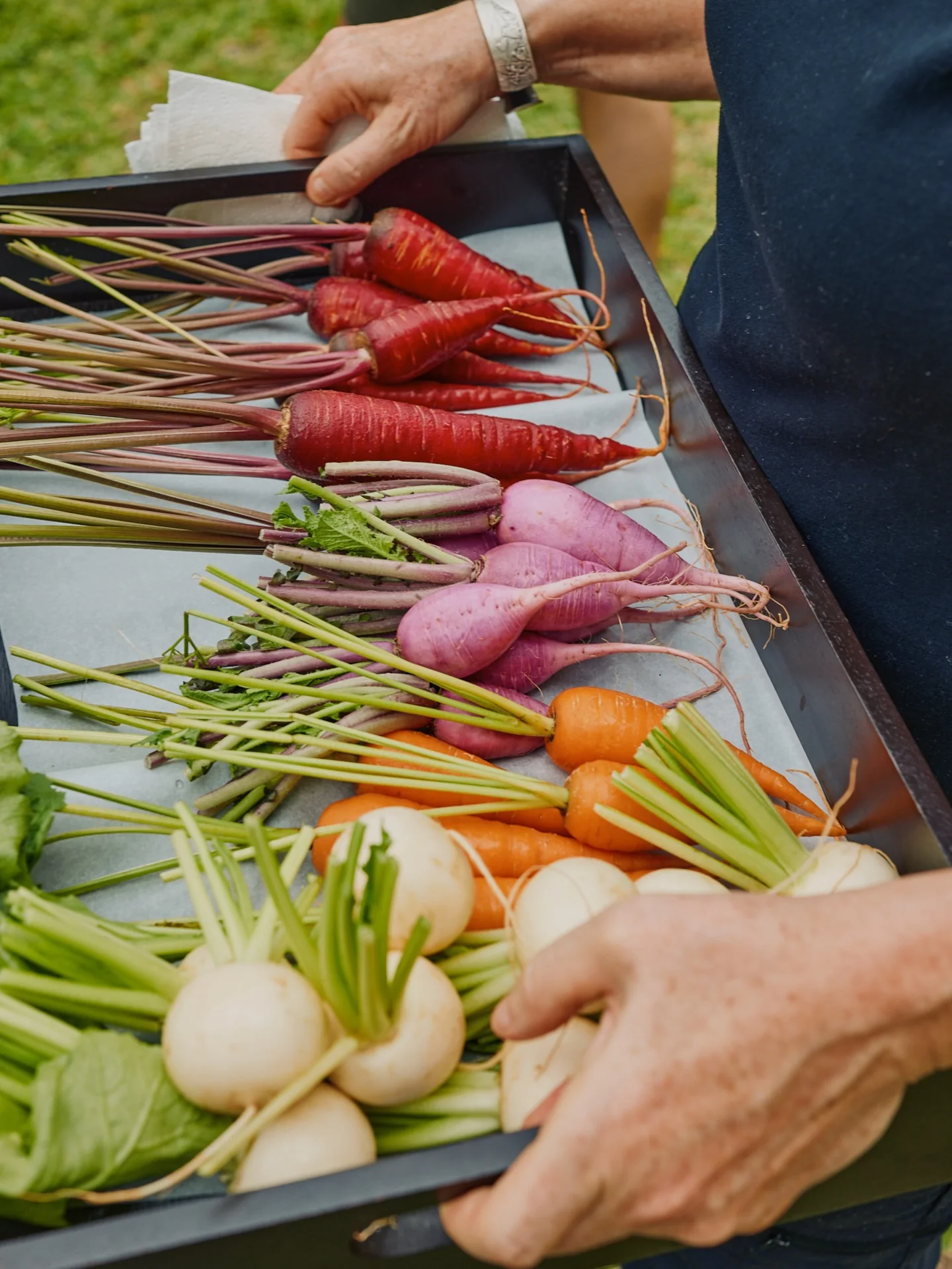 A selection of roots and vegetables during a Mestiza de Indias experience